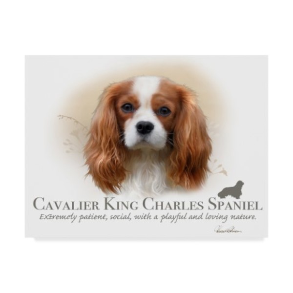 Trademark Fine Art Howard Robinson 'Cavalier King Charles Spaniel' Canvas Art, 14x19 ALI24063-C1419GG